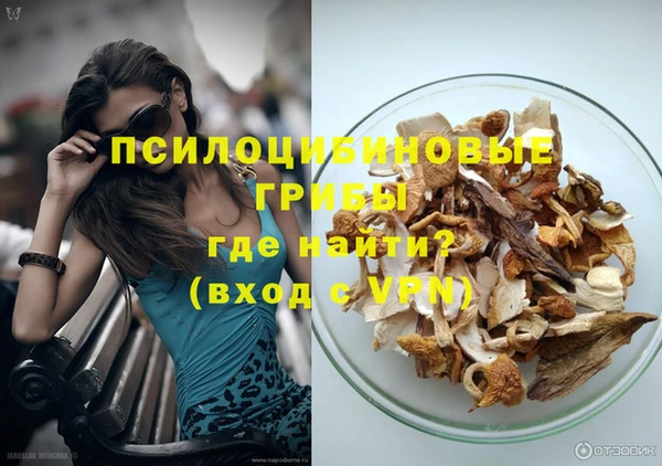 хмурый Лиски