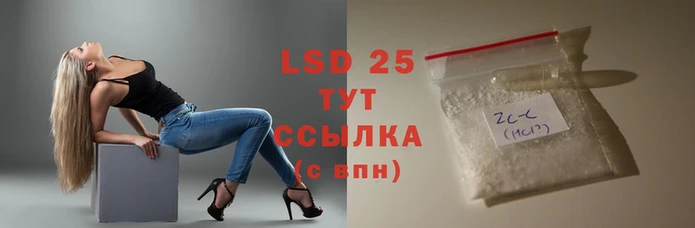 спиды Магас