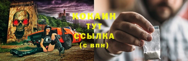 хмурый Лиски