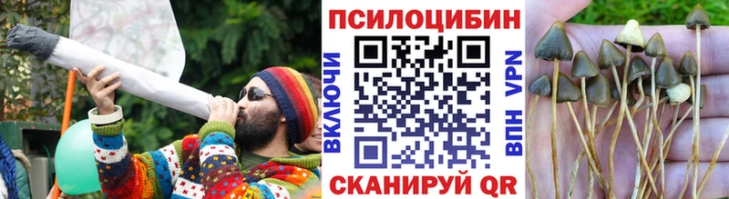 Псилоцибиновые грибы ЛСД  Архангельск 