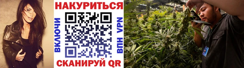 Бошки марихуана SATIVA & INDICA  Архангельск 